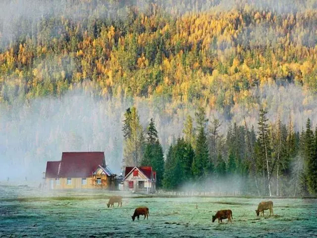 如画般的新疆美景