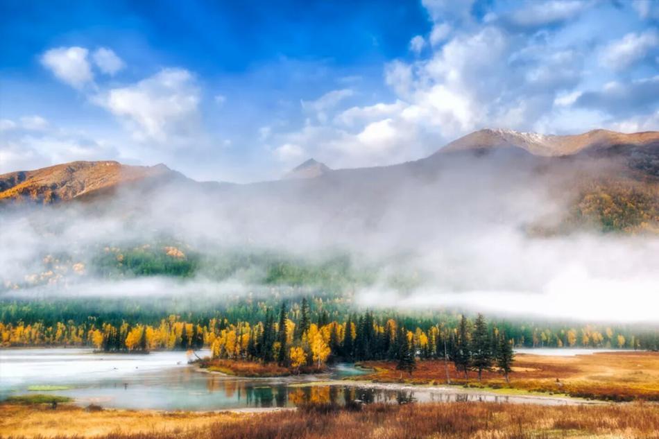 新疆的秋一草一木皆风景